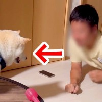 ストレッチしていたら、犬が『お願いがある』と言いに来て…可愛すぎる『まさかの理由』が22万再生「誘導が上手ｗ」「中断するパパ優しい」