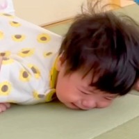 転んで大号泣する赤ちゃん→見ていた犬が『心配するかな』と思ったら…予想を裏切る『まさかの反応』が25万再生「神対応ｗ」「肝が据わってる」