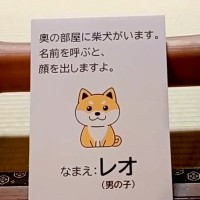 『犬がいます。呼ぶと顔を出します。』の看板→名前を呼んでみた結果…反則級な『まさかの光景』が518万再生「表情がｗ」「最高すぎる」と絶賛
