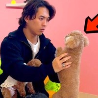 保護犬カフェに『実家の犬』がいたら気付くのか？ドッキリを仕掛けた結果…想定外の展開で見せたリアクションが115万再生「絆を感じる」と反響