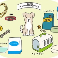 100均で備える『愛犬用の防災グッズ』6選　災害時に役立つ使い方や準備のコツをご紹介