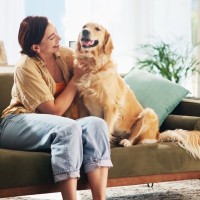 犬を『落ち着いた性格』に育てる方法５選　穏やかなワンコにみられる共通点や推奨されるトレーニングまで