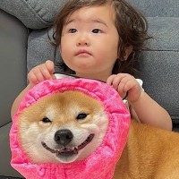 雷を怖がって震えてしまった犬→1歳の女の子が心配をして…愛おしくて泣ける『まさかの行動』が45万再生「ジーンとした」「なんて優しいの」