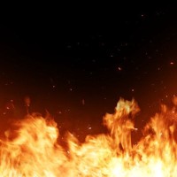 犬が引き起こす『火事』の原因4つ　危険が潜んでいる場所から安全に暮らすための予防策まで