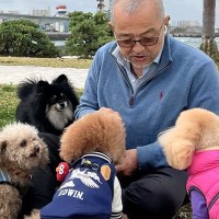 男性に大集合する小型犬たち→1匹だけ『大型犬』が混ざり…まさかの『勘違いしている様子』に3万いいね「小さいつもりｗ」「順番待って偉い」
