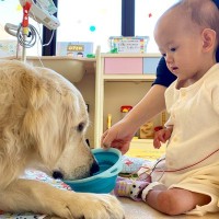 医療現場で働く大型犬が『手術後の子ども』に寄り添った結果…『まさかの光景』に感動「愛の力ですね」「力強く立っててすごい」と称賛