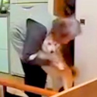 おばあちゃんと犬がお留守番→ふとペットカメラを『のぞき見』した結果…まるで人の子供？尊すぎる光景が42万再生「笑い止まらん」「ほっこり」