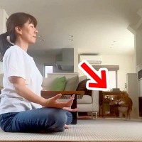 瞑想していたら『どうしても遊んでほしい犬』が近づいて…絶対に集中できない『煩悩まみれの光景』が15万再生「無視出来ないｗ」「可愛いｗ」