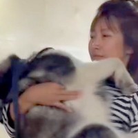 朝、大型犬とお散歩→家から『たった徒歩３分の場所』で…思っていたのと違う『まさかの行動』に反響「大きい赤ちゃんｗ」「甘えん坊さん」