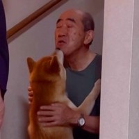 階段でイチャイチャするおじいちゃんと犬…まるで『路地裏のカップル』のような光景が85万再生「完全にふたりの世界ｗ」「大好き伝わる」と絶賛