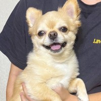 弟に抱っこされると笑顔になる犬→母がやってみると…差がありすぎる『表情の変化』が184万表示「どうしたのｗｗ」「違いすぎて草」と爆笑