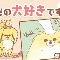 ただの犬好きです。【第331話】「帰省しました⑥」