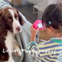 小さな女の子が『犬のカメラマンになった』結果…センスを感じる『エモすぎる写真の数々』が話題に「子供の目線って可愛い」「素晴らしい」