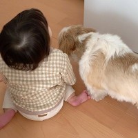 キッチンで並んでいる犬と赤ちゃん→後ろ姿を撮影していたら、次の瞬間…まるで『双子のような行動』に反響「シンクロしてる」「あうんの呼吸」