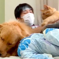 風邪をひいて寝込む男性→『犬と猫に癒してもらおう』と思ったら…あまりにも『違いすぎる対応』が8万再生「2匹とも可愛すぎる」「笑ったｗ」
