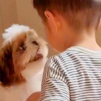 おうちに遊びに来た小さな男の子→赤ちゃん犬が『自分と同じだ』と気付いて…あまりにも尊い光景が23万再生「心が浄化される」「癒された」