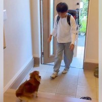 学校から帰ってきた男の子→愛犬と『2日ぶりの再会』を果たした瞬間…思わず涙が出る『尊い光景』に反響「泣けてきた…」「深い絆を感じる」