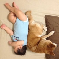 寄り添って寝転がる『赤ちゃんと犬』→泣けてくる『10年後の光景』が3万表示「ずっと一緒だったんだ」「穏やかな時間が続きますように」と反響