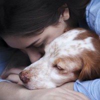 愛犬との最期の過ごし方｜どんな心構えで過ごし、どんなことを準備しておくか？現役獣医がアドバイス