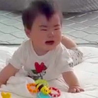 赤ちゃんが『犬を初めて見た』結果、怯えてギャン泣き…2時間後→予想と違った『ビフォーアフター』に反響「顔がいい」「優しく見守ってる」