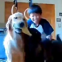 学校から帰宅後した子どもたち→2匹の大型犬と会った瞬間…カメラが捉えた『感動的な光景』が60万再生「すべてが素敵…」「口角上がる」と絶賛