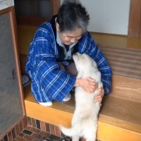 超犬好きな母に『内緒で子犬をお迎えした』結果…思わず涙が出る『尊すぎる反応』が658万再生「胸が熱くなった」「みんな可愛い」現在の姿も