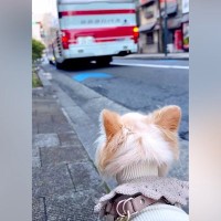 海外で単身赴任中のパパが一時帰国→愛犬と12日間過ごし、お別れの日…バスが出発した時に見せた『家族愛を感じる光景』に反響