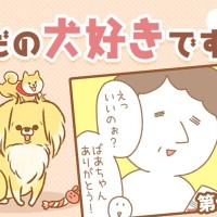 ただの犬好きです。【第332話】「帰省しました⑦」