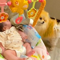 産まれたばかりの赤ちゃんが『犬たちと一緒に育った』結果…素敵すぎる『２年間の軌跡』に反響「かわいすぎる」「幸せな気分になった」