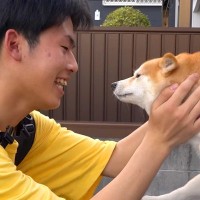息子から『帰省する』と連絡→4匹の犬に伝えた結果…再会した瞬間『嗚咽をあげながら喜ぶ光景』が101万再生「涙が出てきた…」「天使」と悶絶