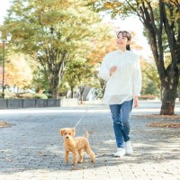 犬にとって危険な『散歩コース』５選　外出時に潜むリスクや知っておくべき安全策まで