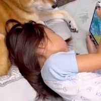 女の子に『ゲーム見てて』とお願いされた犬→『眠たい』と思いながらも…あまりにも尊い光景が28万再生「優しい」「ちゃんとお兄ちゃんしてる」