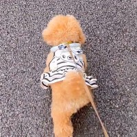 『よくすれ違うおじいちゃん』にいつも無視されてしまう犬→近づいてみた結果…あまりにも尊い光景が36万再生「お友だちが増えた」「可愛すぎ」