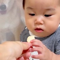 赤ちゃんの手づかみ食べ練習で『ベビーせんべい』を与えていたら、犬が後ろで…とんでもなく食べづらい光景が44万再生「圧ｗｗ」「平和すぎる」