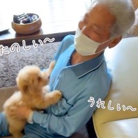 おじいちゃんおばあちゃんと犬が『初めて出会った』結果→お互い予想以上に喜んで…尊すぎる『家族愛にあふれた光景』に反響