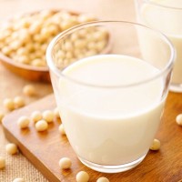 犬は豆乳を飲んでも大丈夫？適量や注意点、正しい与え方や効果まで解説