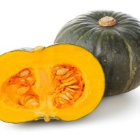 犬はかぼちゃを食べても大丈夫？適量や正しい与え方、腎臓への影響などの注意点を解説