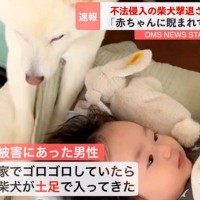 『不法侵入した犬、撃退される』赤ちゃんのベッドに踏み込んだワンコ→まさかの供述が14万再生「なんてかわいい容疑者ｗ」「一緒にいたいんだ」