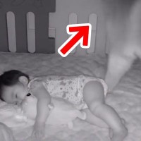 赤ちゃんの様子を『見守りカメラ』で確認しながら家事をしていたら…大型犬がしていた『泣けるほど尊い行動』が846万再生「優しい世界…」