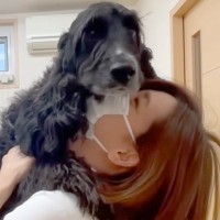 病院の綺麗な看護師さんに『恋をしている犬』…人間なら通報されている『診察中の行動』が210万再生「想像以上に抱きついてて草」「最高ｗ」