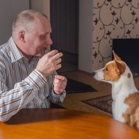 犬は『赤ちゃん言葉』と『通常トーン』どっちを好むの？反応が異なる理由から興味深い研究結果まで