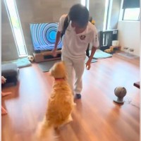 寮生活をしているお兄ちゃんと『5ヶ月ぶりに再会した大型犬』→思わず涙があふれる『感動の再会』に反響「とてもステキ」「ギューンってなる」