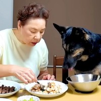 実家のおばあちゃんに犬を預けた結果、晩ご飯の時に…あまりにも尊い『まさかの光景』が186万再生「お行儀いい…」「なんて平和なの」と反響