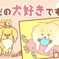 ただの犬好きです。【第333話】「沈黙」
