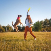 犬の『健康寿命を延ばす』方法7選　愛犬を長生きさせる秘訣やNG行為まで