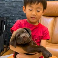 子犬を抱っこできないほど小さかった男の子→一緒に育ち、11歳の誕生日を迎えた結果…尊すぎる『成長記録』に絶賛「最高の相棒」「素敵な兄弟」