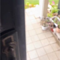 外で遊んでいた２匹の犬→『なんか騒いでいるな』と様子を見に行ったら…お利口さんな『賢い行動』が12万再生「可愛い」「楽しそう」の声