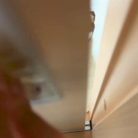 犬に気づかれないように家に帰った結果→ドアを開けてみたら…『まさかの光景』が41万再生「だるまさんが転んだで草」「最高のお出迎え」と反響