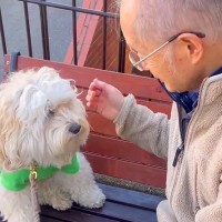 仲良しの近所のおじいさんを待っている犬→スルーされてしまい…許せず想像以上に『ブチギレる様子』が37万再生「孫みたいｗ」「素敵な関係」