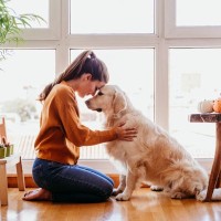 犬を『精神的に傷つける』絶対NG行為4選　信頼関係が崩壊する飼い主の行動や信用を取り戻す方法まで